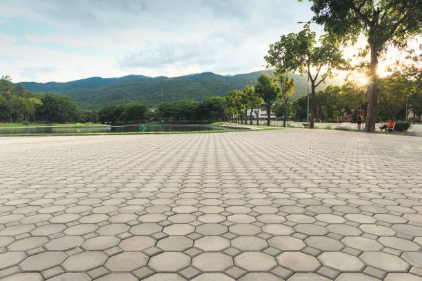 Best Best Driveway Pavers  in Carrollton, AL